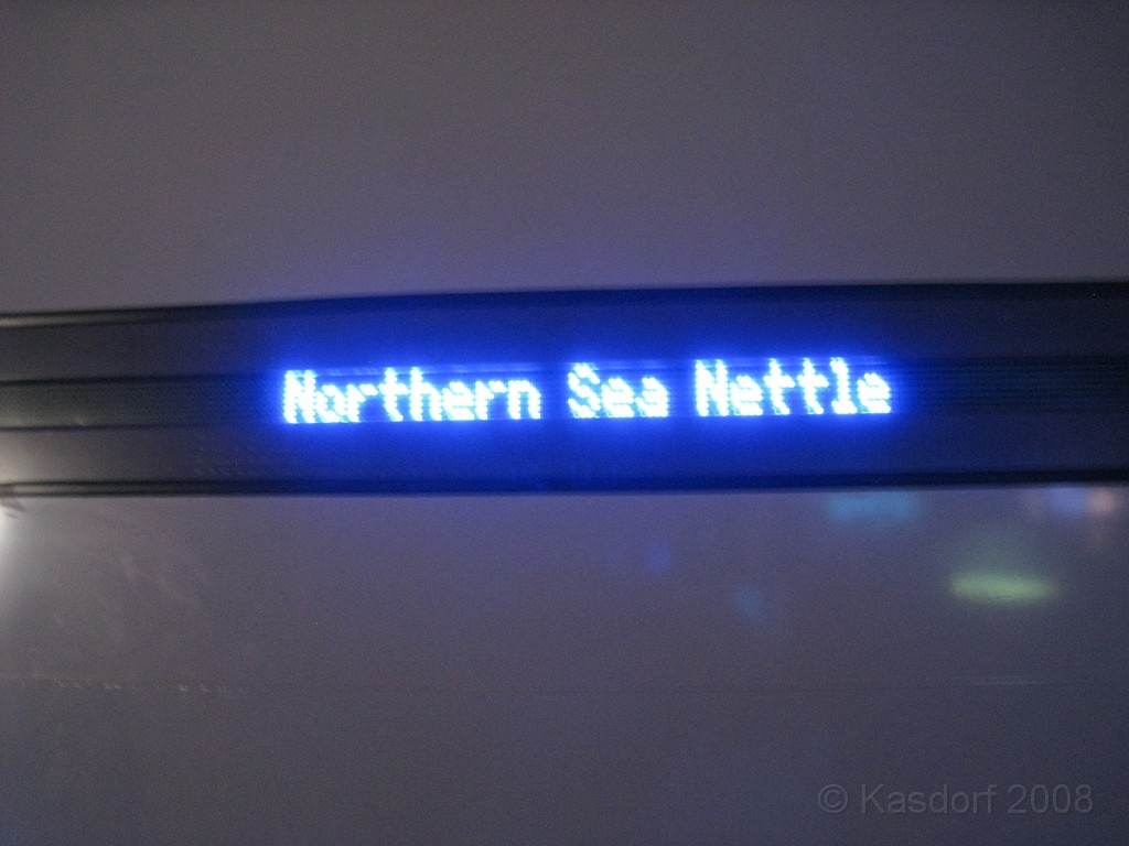 Baltimore MD 2009 1240.jpg - A 4th of July trip to Washington DC in 2009 included a stop in Baltimore MD to see the National Aquarium.